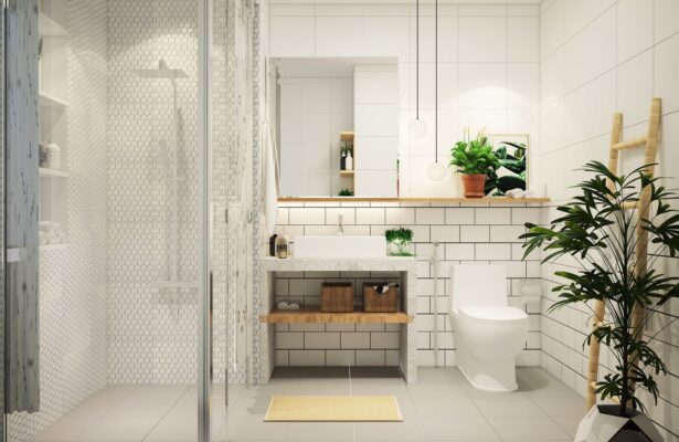 màu sắc decor phòng tắm